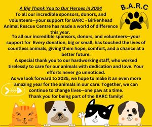 A Big Thank You to Our Heroes in 2024!