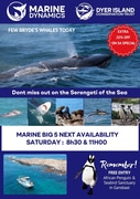 Next Marine Big 5 Trip: 28 December 2024