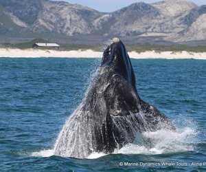 Celebrating the Ocean's Timeless Beauty: A Reflection on 2024!