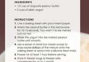 Easy Dog Treat Recipe: Creamy Peanut Butter Rounds