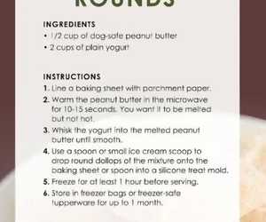 Easy Dog Treat Recipe: Creamy Peanut Butter Rounds