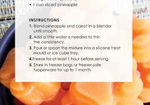 Tropical Carrot Cubes Recipe: Healthy Frozen Treats for Dogs