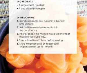 Tropical Carrot Cubes Recipe: Healthy Frozen Treats for Dogs