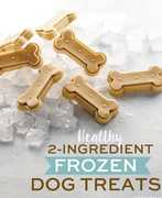 Frozen Banana Peanut Butter Treats: Easy Recipe for Dogs