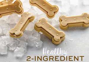 Frozen Banana Peanut Butter Treats: Easy Recipe for Dogs