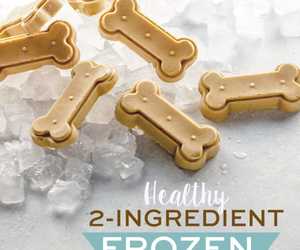 Frozen Banana Peanut Butter Treats: Easy Recipe for Dogs