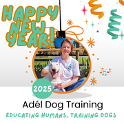 Start the New Year Right with Expert Dog Training and Pet Nutrition
