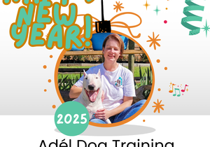 Start the New Year Right with Expert Dog Training and Pet Nutrition