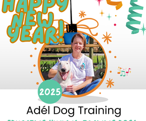 Start the New Year Right with Expert Dog Training and Pet Nutrition