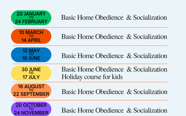 Hondeskool_Jaar_program_2025_1736157167