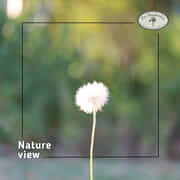 Finest White Wines and Scenic Views on Our Family Farm