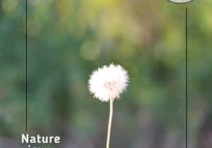 Finest White Wines and Scenic Views on Our Family Farm