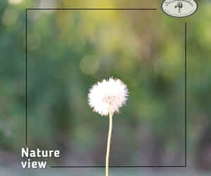 Finest White Wines and Scenic Views on Our Family Farm