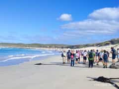 Another Memorable Beach Walk!