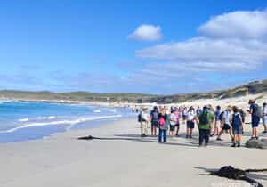 Another Memorable Beach Walk!