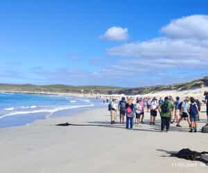 Another Memorable Beach Walk!