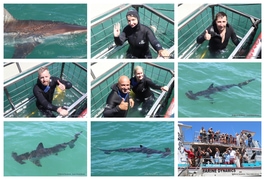 Daily Blog: 13 January 2025 | Shark Cage Diving in South Africa