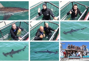 Daily Blog: 13 January 2025 | Shark Cage Diving in South Africa