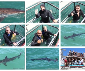 Daily Blog: 13 January 2025 | Shark Cage Diving in South Africa