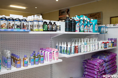 kleinmond_animal_and_pet_food_pet_food_express_dog_grooming_supplies_10_1736944237