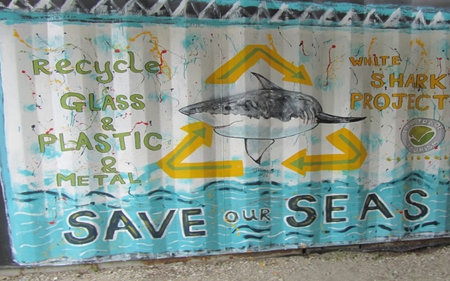 CoulorfulSwopShop3_1736951793