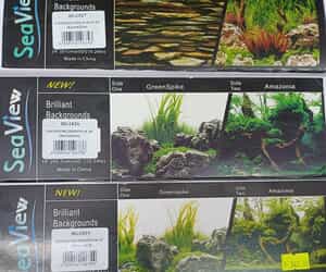 New Fish Tank Background