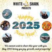 Happy New Year from White Shark Projects!