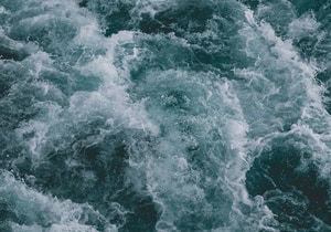 Gansbaai Tide Times: January 2025