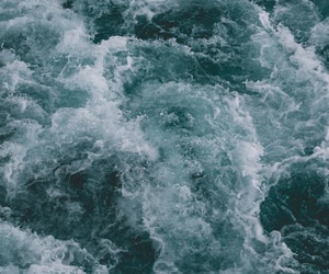 Gansbaai Tide Times: January 2025