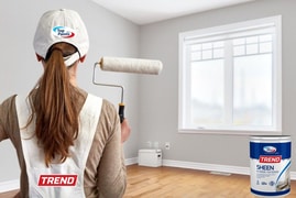 Top Paints - Premium Paint and Tools for a Perfect Finish