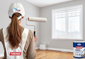 Top Paints - Premium Paint and Tools for a Perfect Finish