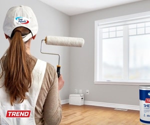 Top Paints - Premium Paint and Tools for a Perfect Finish