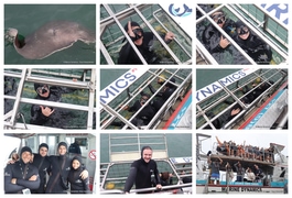Daily Blog: 20 January 2025 | Shark Cage Diving in South Africa
