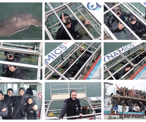 Daily Blog: 20 January 2025 | Shark Cage Diving in South Africa