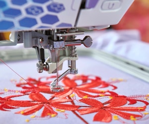 24 January, 2025: Design Mastery: The Bernina Software Experience