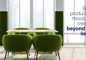 Boost Productivity and Creativity with the Right Office Colours!