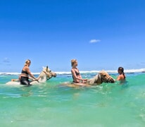 It's Still Summer Time