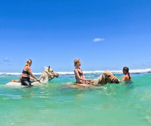 It's Still Summer Time