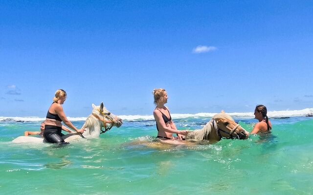 Pearly Beach Horse Trails