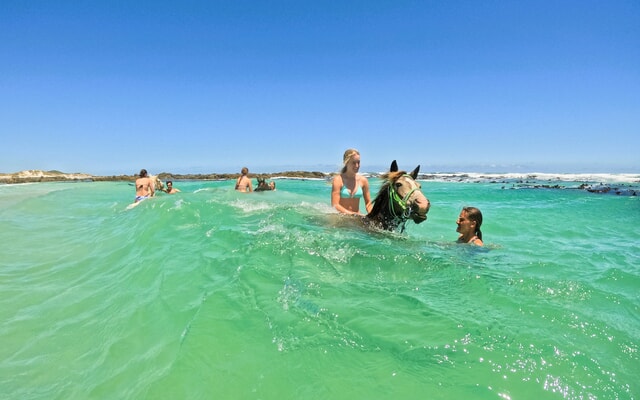 Pearly Beach Horse Trails