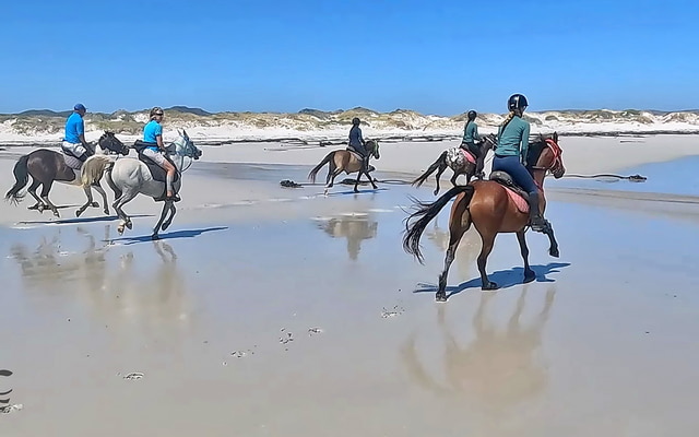 Pearly Beach Horse Trails