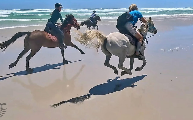 Pearly Beach Horse Trails