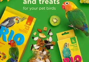 RIO Bird Food Coming Soon