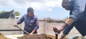 Boosting Soil Health with Kelp and Mushroom Compost