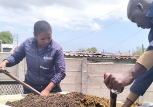 Boosting Soil Health with Kelp and Mushroom Compost