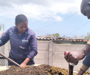 Boosting Soil Health with Kelp and Mushroom Compost