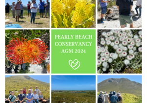 Pearly Beach Conservancy AGM and Nature Walk Highlights