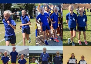 Die Kroon van Ware Sportmanskap