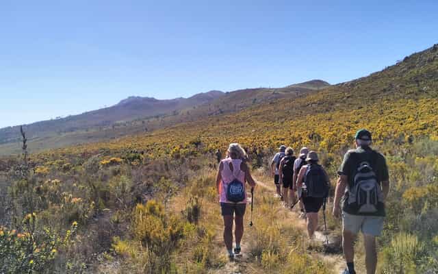 WhatsApp_Image_2025_01_27_at_08.58.08_1737966963