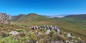 WhatsApp_Image_2025_01_27_at_09.00.48_1737966963